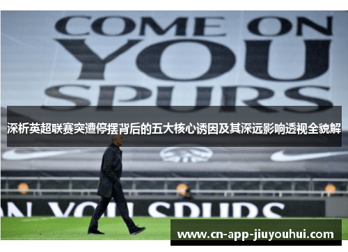 深析英超联赛突遭停摆背后的五大核心诱因及其深远影响透视全貌解