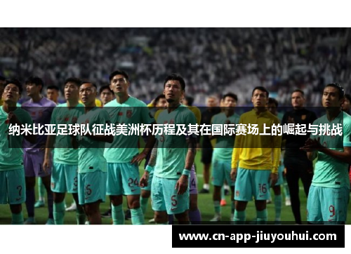 纳米比亚足球队征战美洲杯历程及其在国际赛场上的崛起与挑战 纳米比亚足球队征战美洲杯历程及其在国际赛场上的崛起与挑战