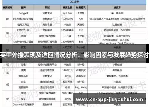 英甲外援表现及适应情况分析:影响因素与发展趋势探讨 英甲外援表现及适应情况分析:影响因素与发展趋势探讨