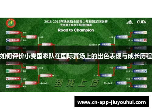 如何评价小麦国家队在国际赛场上的出色表现与成长历程