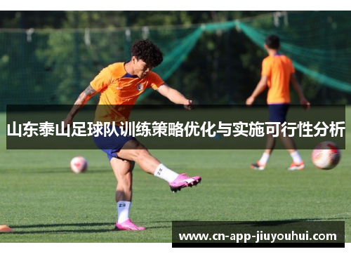山东泰山足球队训练策略优化与实施可行性分析