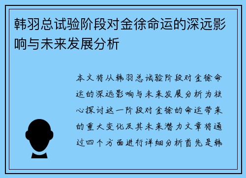 韩羽总试验阶段对金徐命运的深远影响与未来发展分析