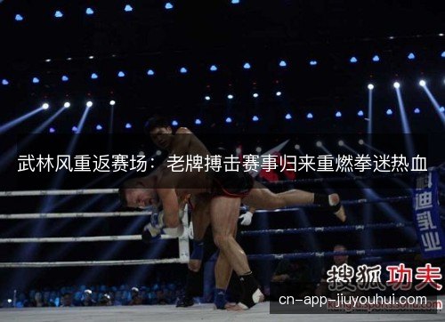 武林风重返赛场：老牌搏击赛事归来重燃拳迷热血